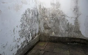 Wasserschadensanierung aus Eisenstadt